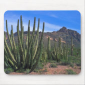 Orgaanbuizen in woestijn muismat (Voorkant)