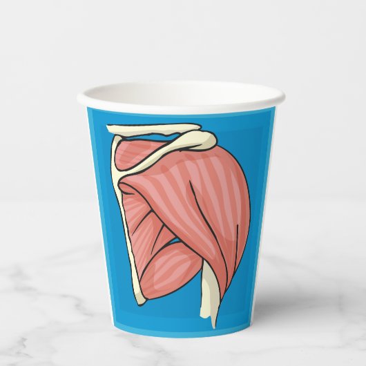 Orgaanillustratie Papieren Bekers (Voorkant)