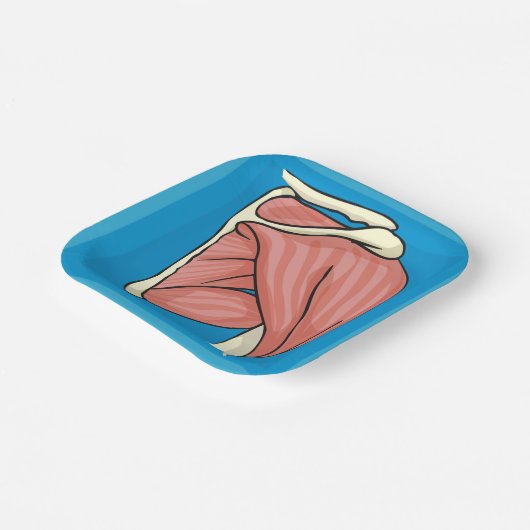 Orgaanillustratie Papieren Bordje (Gebogen)