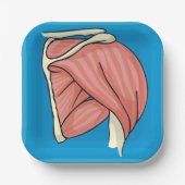 Orgaanillustratie Papieren Bordje (Voorkant)