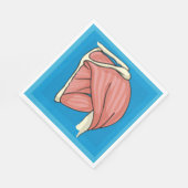 Orgaanillustratie Servet (Hoek)