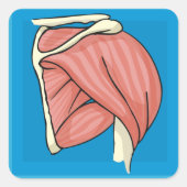 Orgaanillustratie Vierkante Sticker (Voorkant)