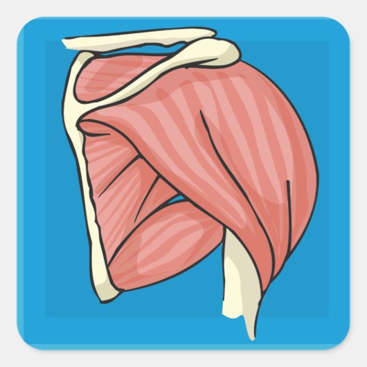 Orgaanillustratie Vierkante Sticker (Voorkant)