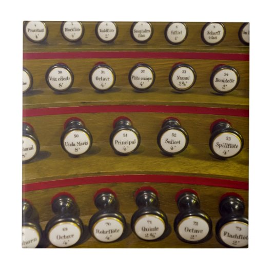 Orgaanstammen van tegels of trivet tegeltje (Voorkant)