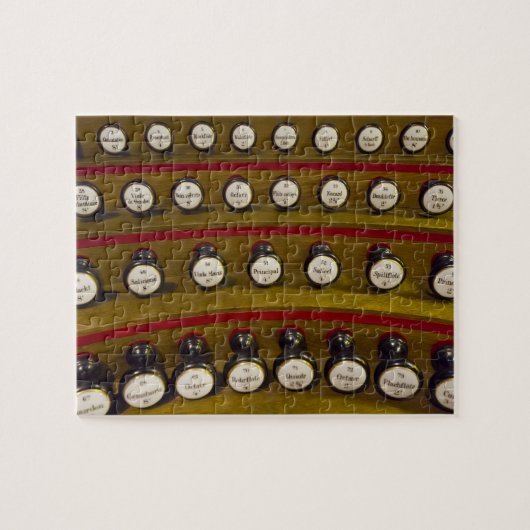 Orgaansysteem stopt puzzels in een blik (Horizontaal)