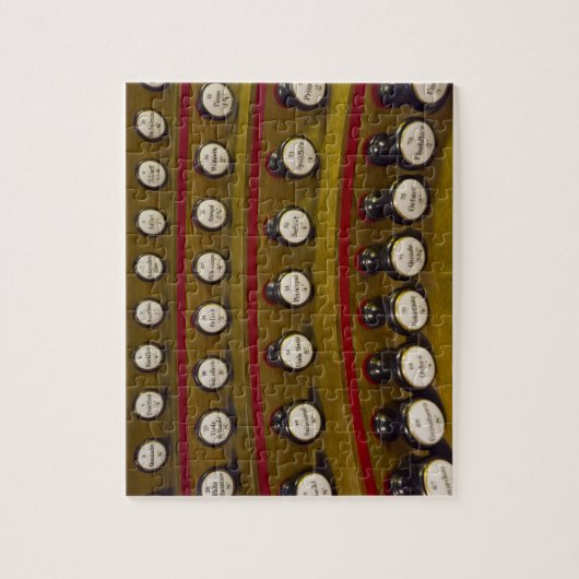 Orgaansysteem stopt puzzels in een blik (Verticaal)