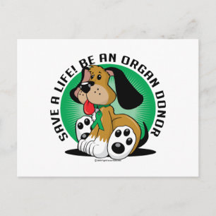 Organ Donor Dog Briefkaart