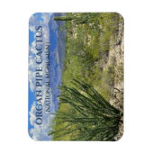Organ Pipe Cactus, Ocotillo Shrub, Ajo Mountains Magneet (Verticaal)