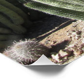 Organ Pipe Cactus Poster (Hoek)