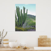 Organ Pipe Cactus Poster (Keuken)