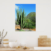 Organ Pipe Cactus Poster (Keuken)