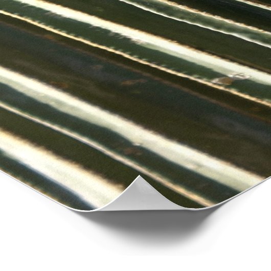 Organ Pipe Cactus Poster (Hoek)