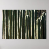Organ Pipe Cactus Poster (Voorkant)