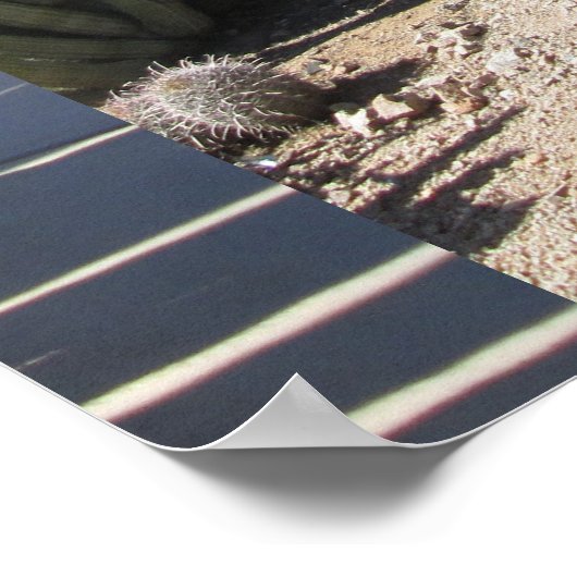 Organ Pipe Cactus Poster (Hoek)