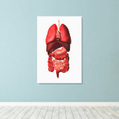 Organen van de ademhalings- en spijsverteringsstel canvas afdruk (Insitu (Houten vloer))