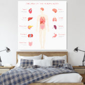 Organen van het menselijk lichaam canvas afdruk (Insitu (Slaapkamer))