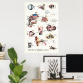 Organen van zintuiglijke spraakanatomie poster (Thuiskantoor)