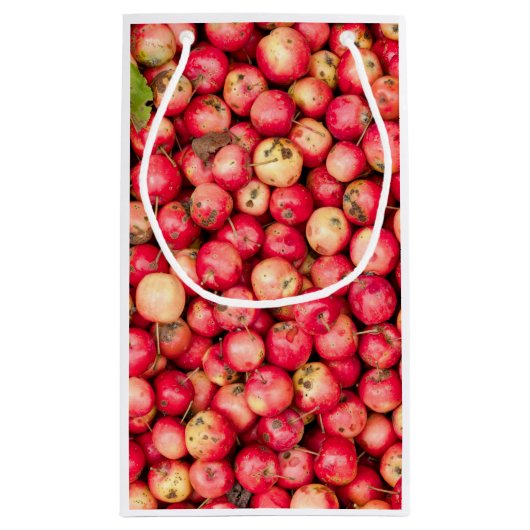 Organic Apple Klein Cadeauzakje (Achterkant)