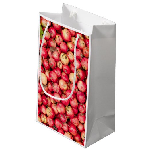 Organic Apple Klein Cadeauzakje (Achterkant Gekanteld)