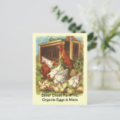 Organic Free Range Eggs Market BRIEFKAART (Staand voorkant)