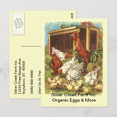 Organic Free Range Eggs Market BRIEFKAART (Voorkant / Achterkant)
