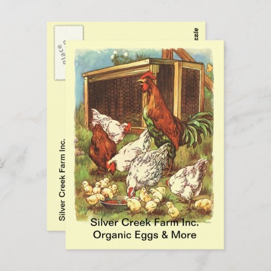 Organic Free Range Eggs Market BRIEFKAART (Voorkant / Achterkant)