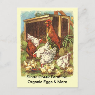 Organic Free Range Eggs Market BRIEFKAART
