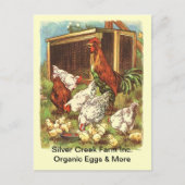 Organic Free Range Eggs Market BRIEFKAART (Voorkant)