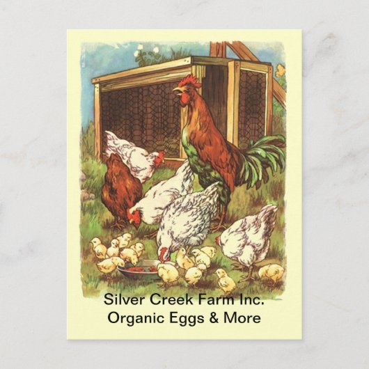 Organic Free Range Eggs Market BRIEFKAART (Voorkant)