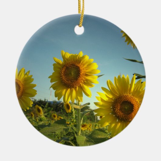 Organic Gardening Ornament (Voorkant)