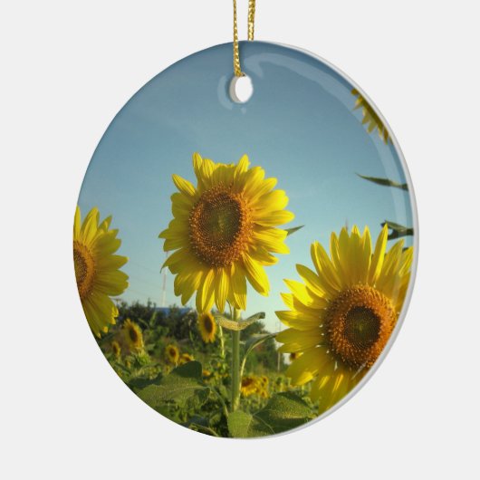 Organic Gardening Ornament (Links)
