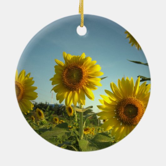 Organic Gardening Ornament (Achterkant)