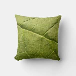 Organic Green Rhubarb Leaf Kussen