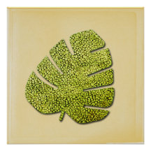 Organic Green Tropical Leaf