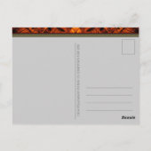 Organic Grooves OM Tribal NewAge Briefkaart (Achterkant)