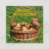 Organic Mushrooms Delivery, Boerderij Square Vierkante Visitekaartje (Voorkant)