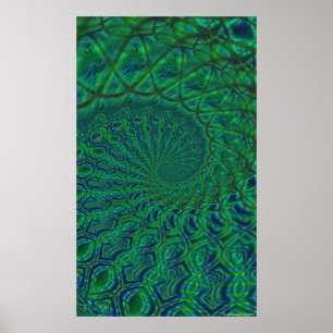 Organic Spiral Duality Poster