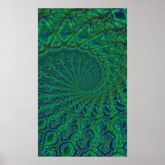 Organic Spiral Duality Poster (Voorkant)