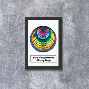 Organisatieniveaus van de levende wezens poster