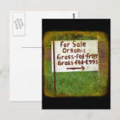 Organisch gras Fed Eggs en Fryers Briefkaart (Voorkant / Achterkant)