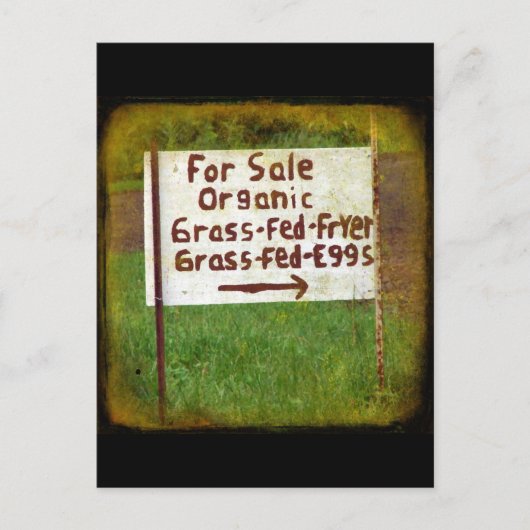Organisch gras Fed Eggs en Fryers Briefkaart (Voorkant)