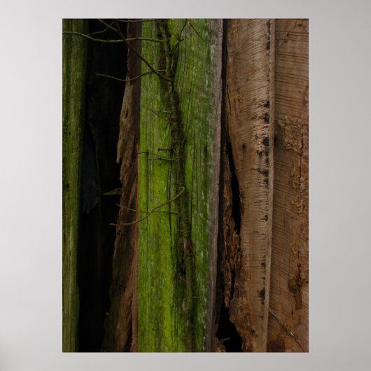 Organisch Poster (Voorkant)