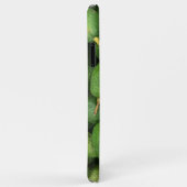 Organische avocado's Case-Mate iPhone case (Achterkant/rechts)
