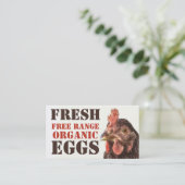 Organische eieren uit vrije uitloop - Laagkip Visitekaartje (Staand voorkant)