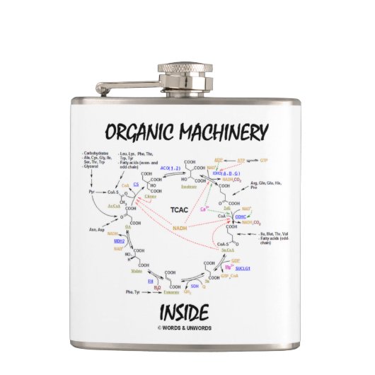 Organische Machines binnen (Cyclus Krebs) Heupfles (Voorkant)