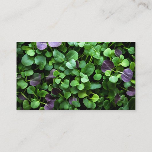 organische microgreens visitekaartje (Achterkant)