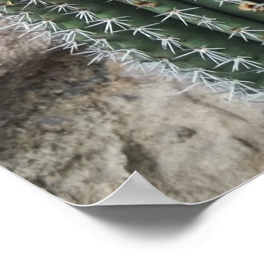 Organische pijp Cactus - zuidwest Cacti Wall Decor Poster (Hoek)