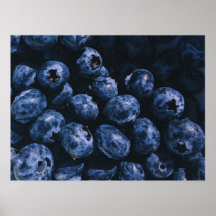 Organische ripe Bunch of Blueberries Poster