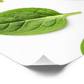 Organische Spinazie Leaf Naadloos Patroon Perfect Poster (Hoek)