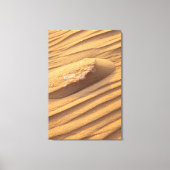 Organische Zandsteen Woestijnrimpelstructuur Canvas Afdruk (Voorkant)